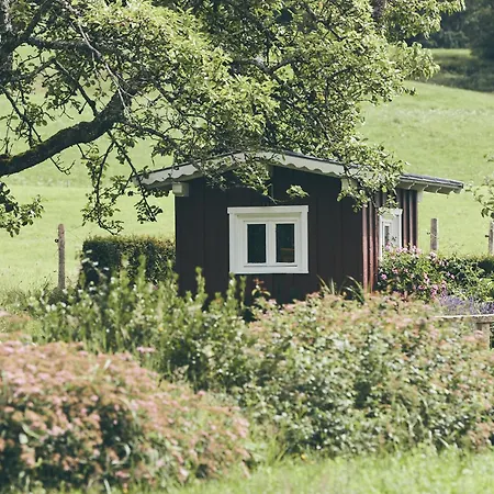 Gesundheitshotel Koenig 4* Grunenbach